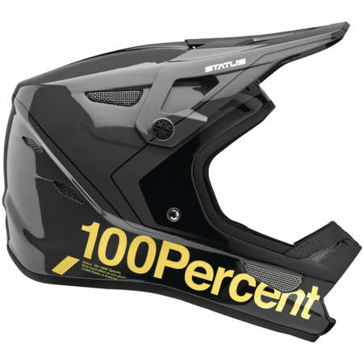 100% Status Helmet - Carby/Charcoal