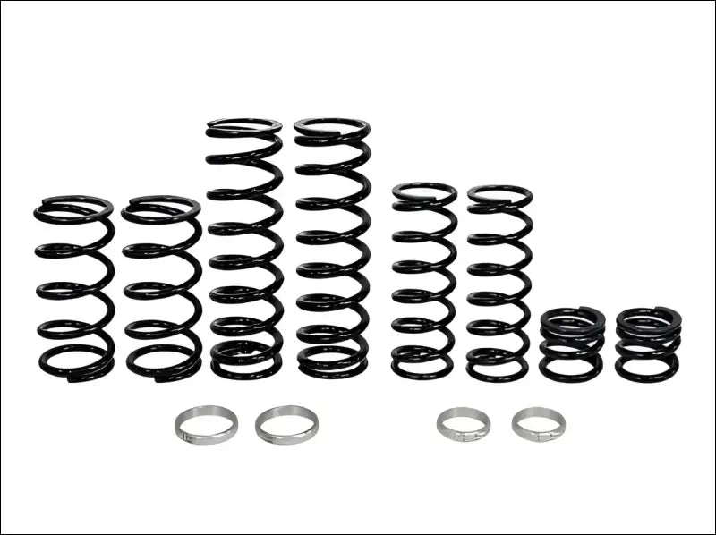 Zbroz Polaris RZR PRO XP4 Stage 1 Dual Rate Spring Kit for Fox Live Valve Shocks - spring