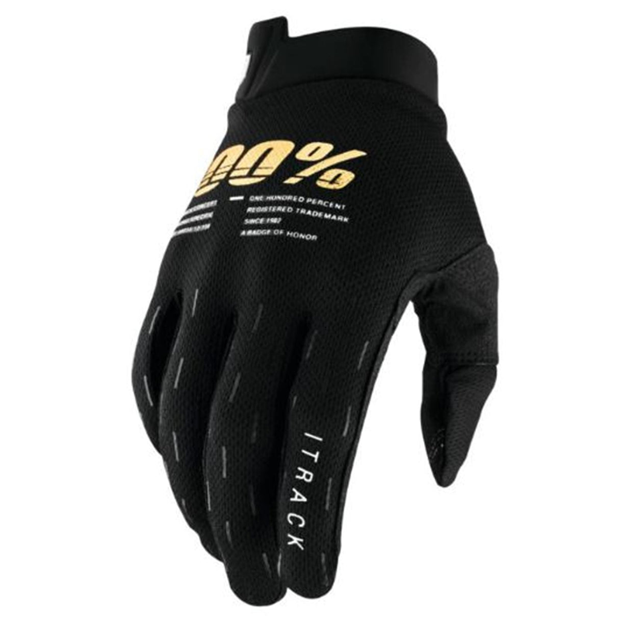 100% Men's iTrack Gloves Black, Large 10008-00007