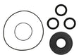 Polaris RZR Front Differential Seal Kit