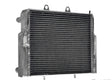 Polaris RZR Heavy-Duty Radiator