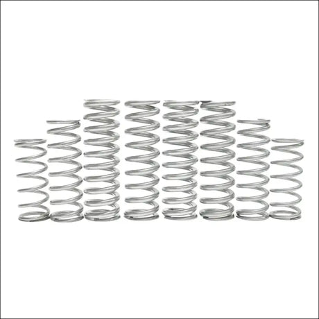 Polaris RZR Pro R Dual Rate Spring Kit - Ultimate - Dynamix - 2 Seat