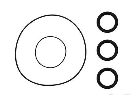 Polaris RZR S 800 Front Differential Seal Kit