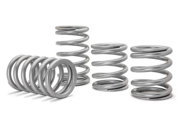 Polaris RZR XP Turbo S Tender Springs