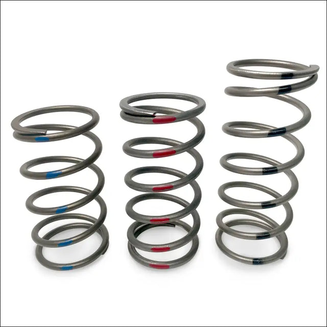 TAPP Primary Clutch Springs - Clutching