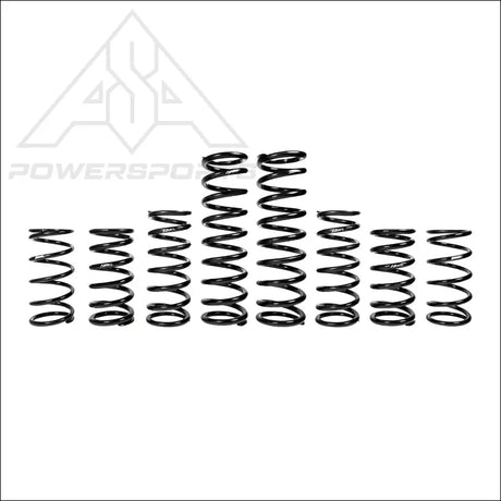 ZBroz Polaris RZR Pro R 2-Seat Fox Dynamics Stage 1 Spring Kit - spring